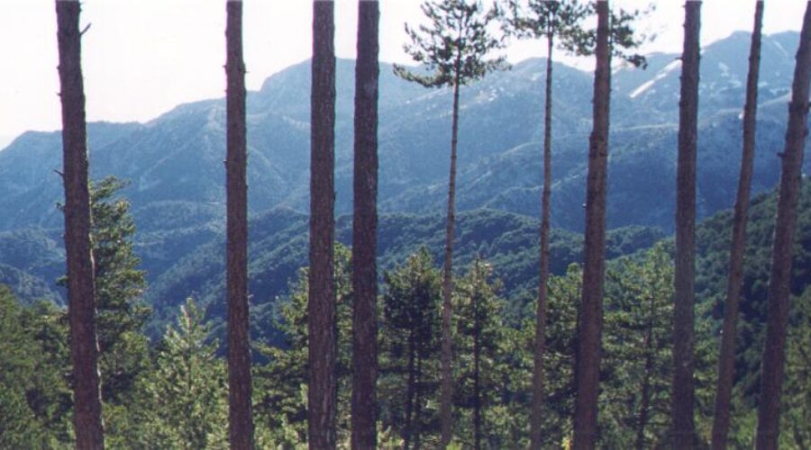 Hiking Mount Taygetos: The Route to Profitis Ilias
