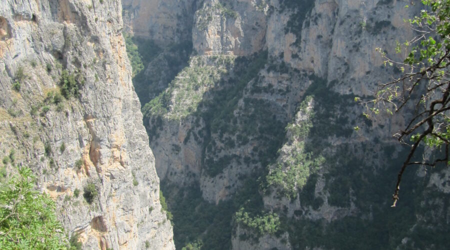 Hiking the Vikos Gorge: A Complete Trail Guide