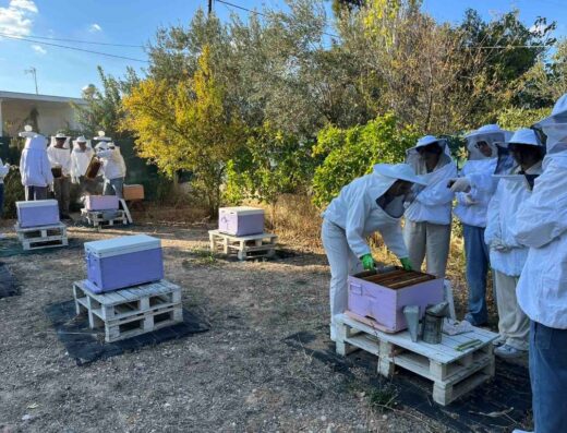 From A to Bee - Παλλήνη