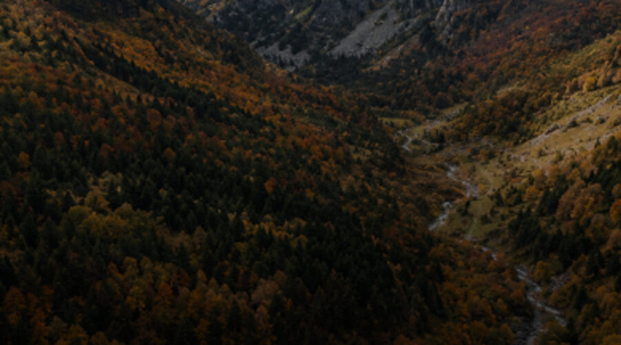 Valia Calda: Hiking the Arkoudorema in Greece’s Wildest Valley