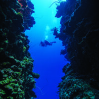 Diving Solutions