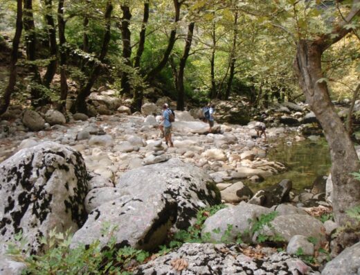 Hiking in Vikos gorge (Active Nature)