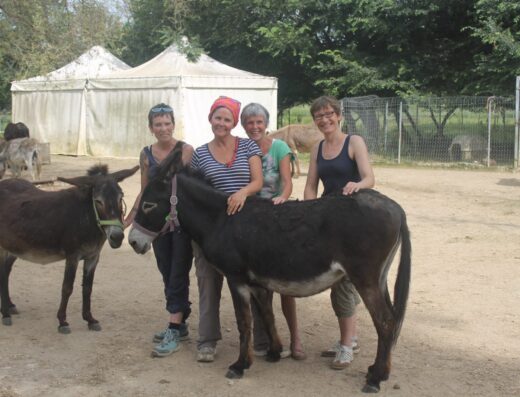 Corfu Donkey Rescue, rescued donkeys in Doukades, Corfu
