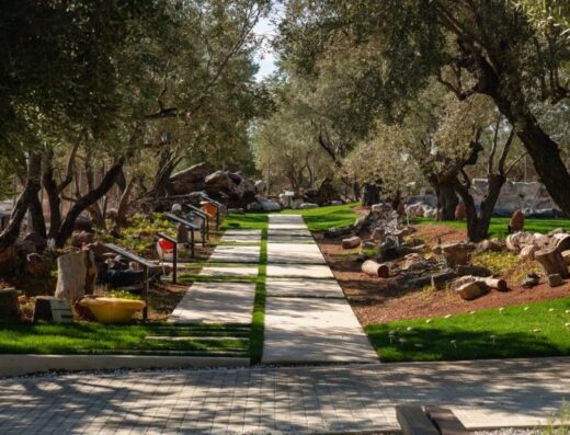 Mushroom Farm Guided Tour at the Dirfys Mushroom Park, Evia