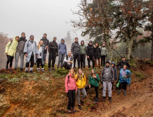 Wild Mushroom Foraging Walk on Mount Dirfys with Lunch at Mycena, Evia