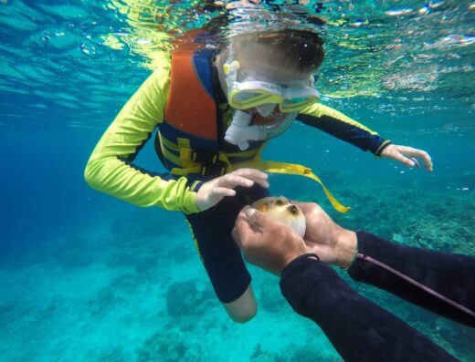 Diving Solutions, scuba diving in Thessaloniki and Chalkidiki