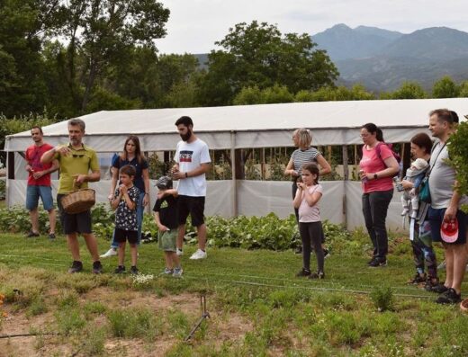 Herb Farm Tour & Herbal Tea Tasting at Grizo & Prasino, Komotini
