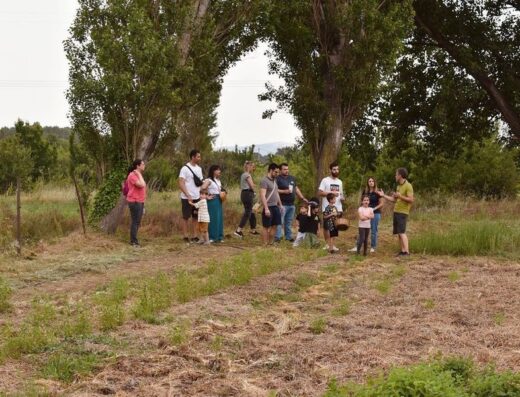 Grizo & Prasino herb farm, Komotini