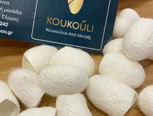 KOUKOULI σηροτροφείο Μακρυνίτσα Σερρών
