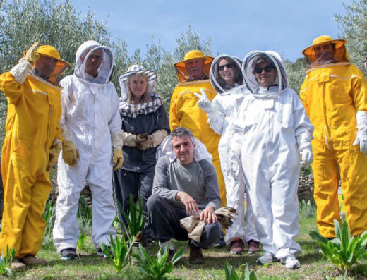 Private Honey Stories Tour: Beekeeping and Honey Tasting for Your Group at MoKa Honey, Itea near Delphi