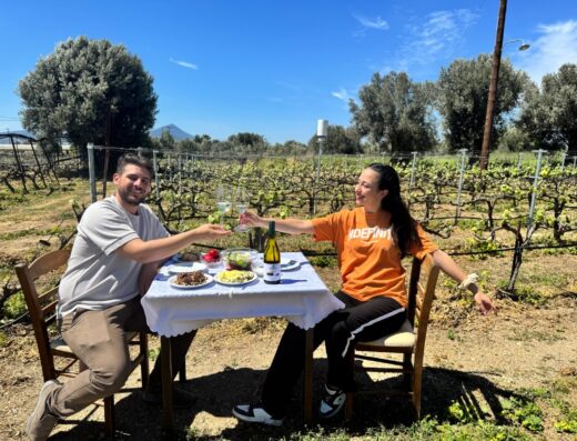 Skoumpris Winery Visit and Wine Tasting, Lelantine Plain, Evia