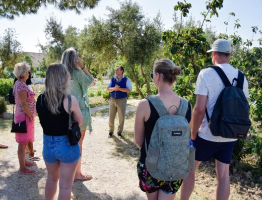 Therianos Family Farm, Kallithea, Zakynthos